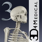 Essential Skeleton 3 APK