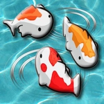 Feed My Fish APK