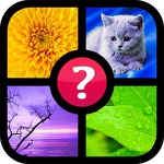 Guess the word ~ 4 pics 1 word APK