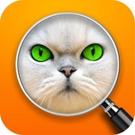 Guess the Pic! Close up Photos APK