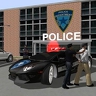 Crime City Real Police Driver 1.5